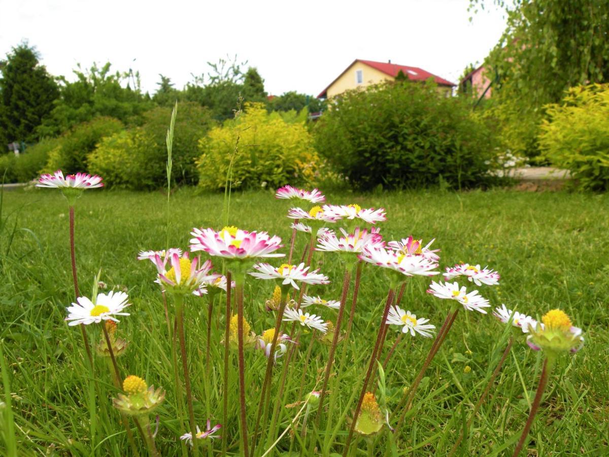 Domki Zabi Staw Mikołajki Buitenkant foto