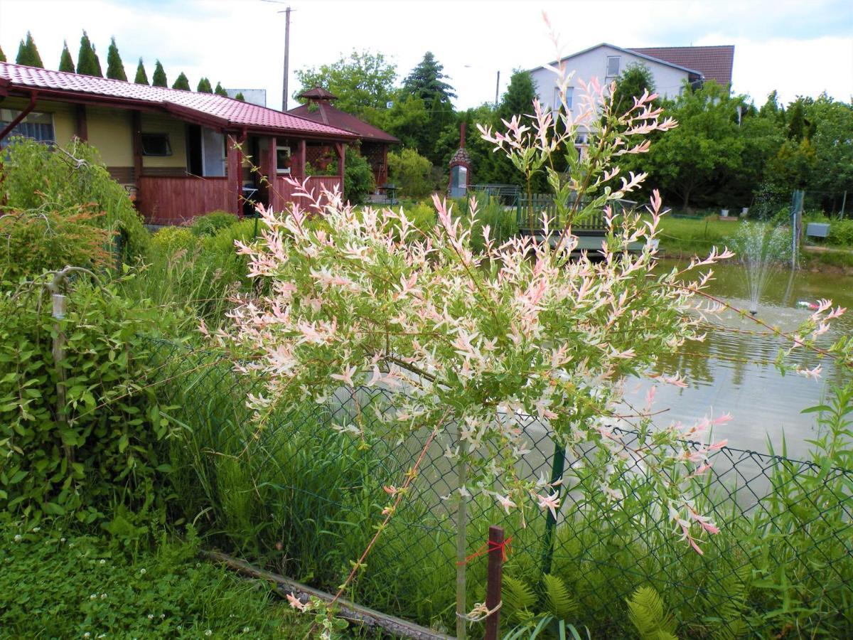 Domki Zabi Staw Mikołajki Buitenkant foto